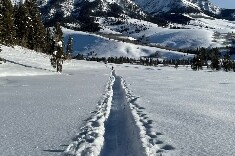 Snow trail