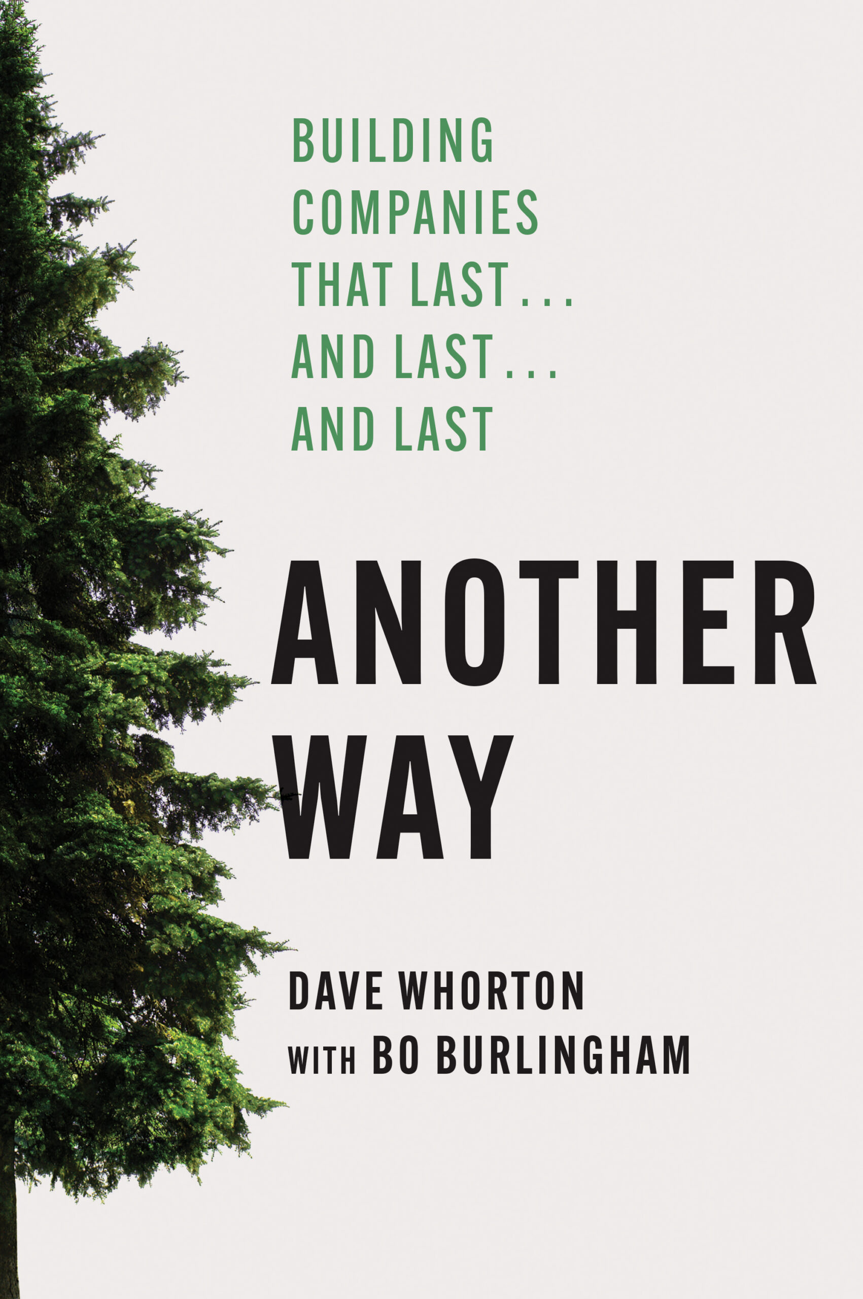 Another way book by Dave Whorton